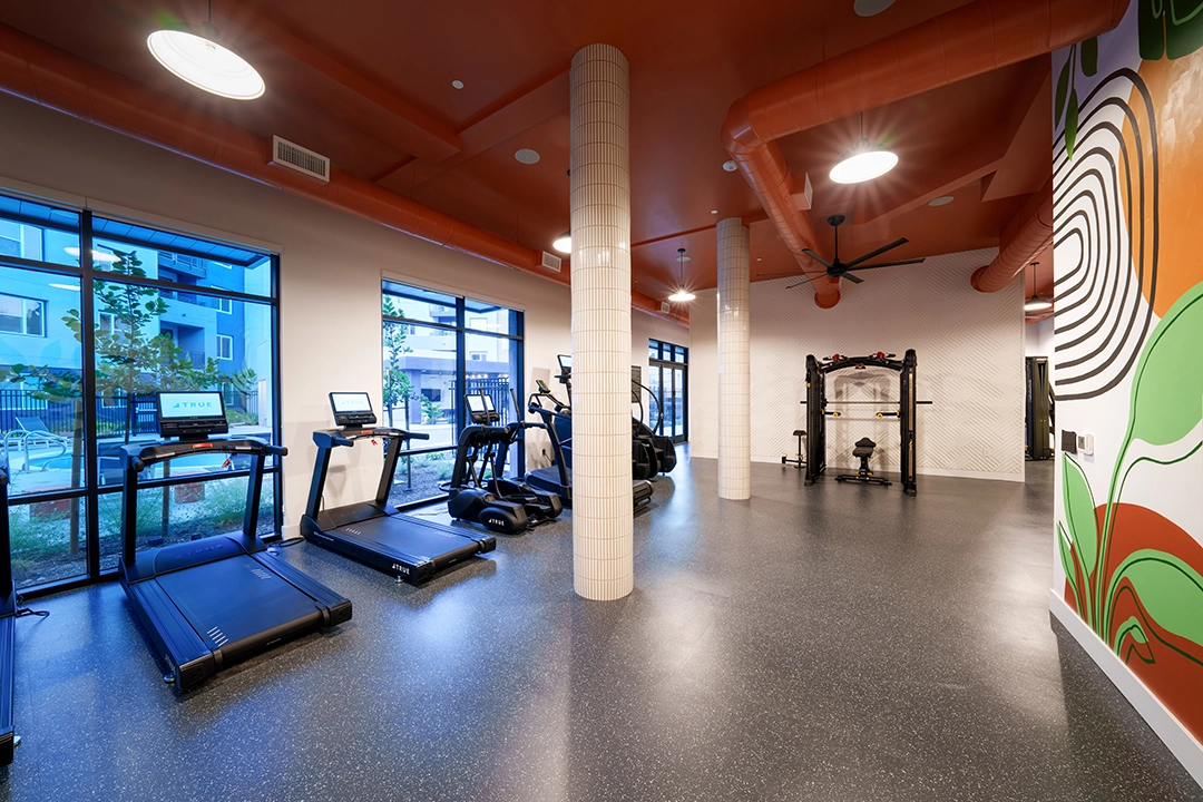Catalina Design Axis at Davis Excersise Room 1